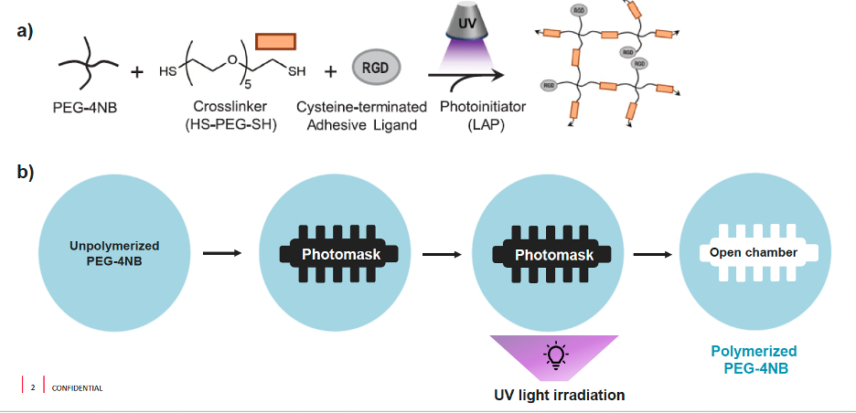 Efficiently Generating Complex Hydrogel Structures for Tissue/Organ-on-a-Chip Models Efficiently Generating Complex Hydrogel Structures for Tissue/Organ-on-a-Chip Models